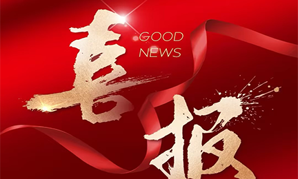 喜报丨安博体育(中国)官方网站,app登录入口入选2024粤港澳大湾区企业创新力榜单
